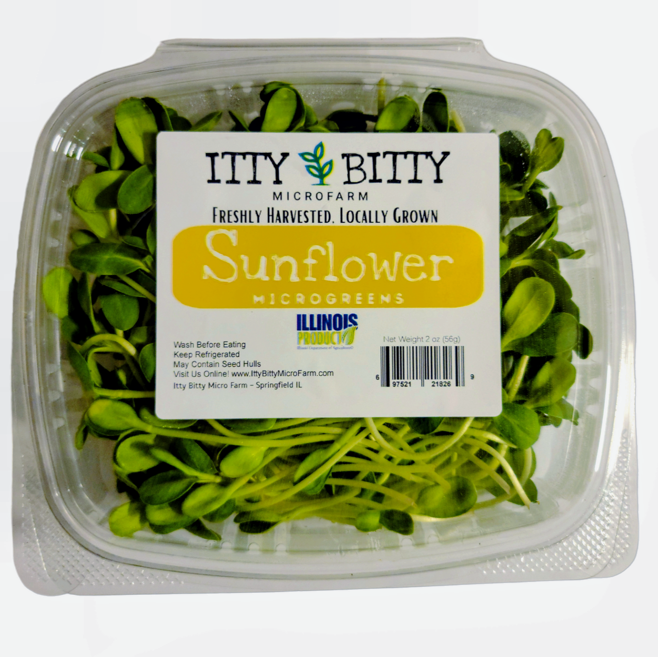Sunflower Shoot Microgreens Itty Bitty Micro Farm